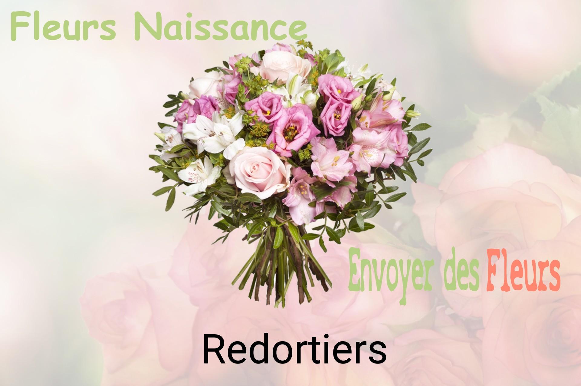 Bouquet de fleurs de naissance livré à Redortiers